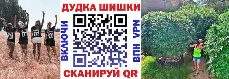 Канабис ГИДРОПОН  блэк спрут ссылка  Яхрома 